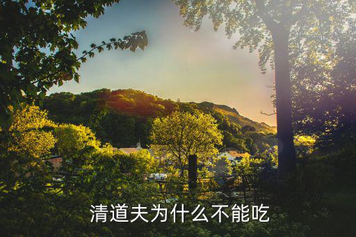 清道夫能吃嗎,清道夫fish是水中惡霸還是魚缸清洗專家?