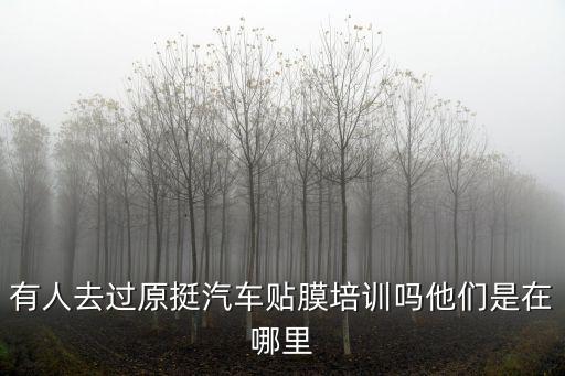 有人去過原挺汽車貼膜培訓嗎他們是在哪里