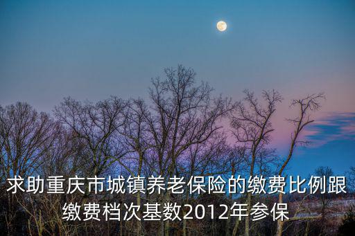 重慶市靈活就業人員100交多少，重慶靈活就業人員社保繳費保準