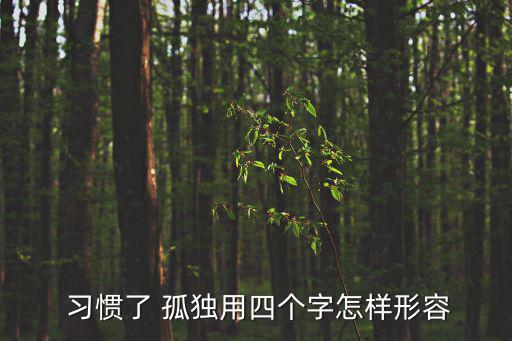 習慣了孤獨,第二集:獨自闖蕩世界