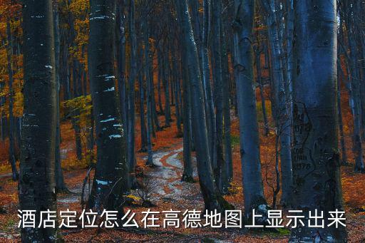 酒店定位怎么在高德地圖上顯示出來