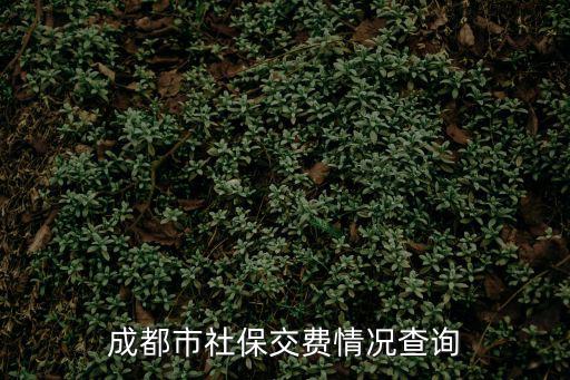 成都市社保交費情況查詢
