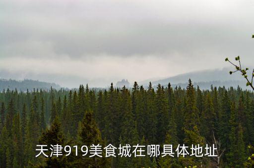 天津919美食城在哪具體地址