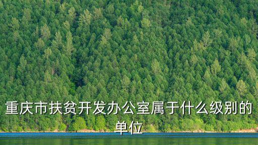 重慶市扶貧辦 宋海明，重慶市扶貧開發辦公室屬于什么級別的單位