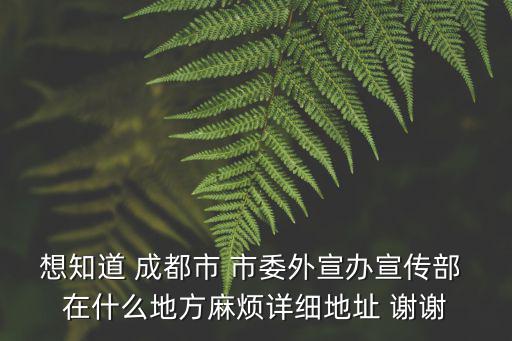 成都市外宣辦主任叢峰誰，想知道 成都市 市委外宣辦宣傳部 在什么地方麻煩詳細地址 謝謝