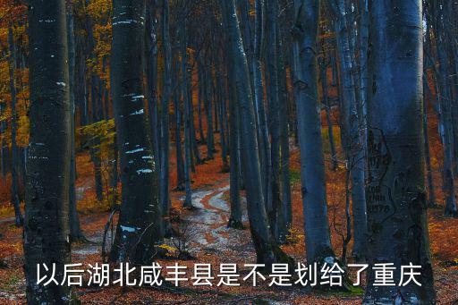 咸豐縣是屬重慶市管嗎，重慶市在沒有成為直轄市之前面積多大豐都在此之前屬于那個市的