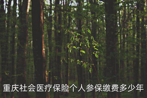 重慶社會醫療保險個人參保繳費多少年