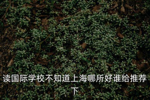 讀國際學校不知道上海哪所好誰給推薦下