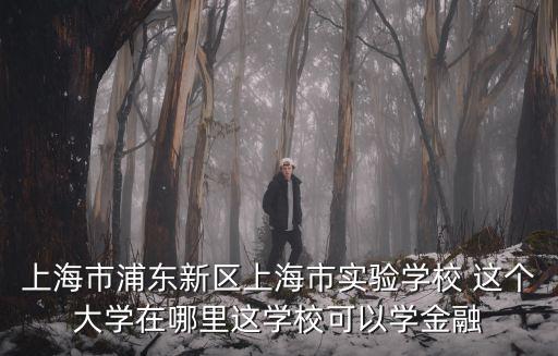 上海市浦東新區上海市實驗學校 這個大學在哪里這學校可以學金融