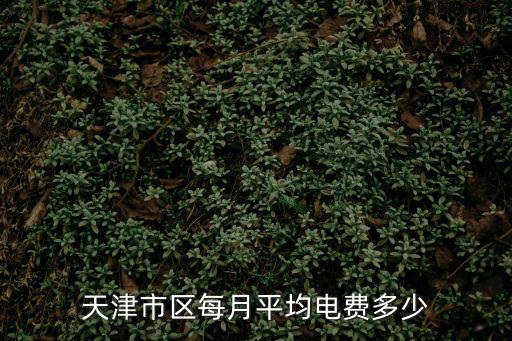 天津市區每月平均電費多少