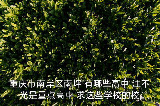 重慶市南岸區(qū)南坪 有哪些高中 注不光是重點(diǎn)高中 求這些學(xué)校的校