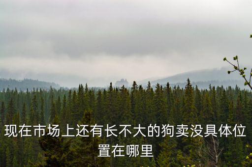 現(xiàn)在市場(chǎng)上還有長(zhǎng)不大的狗賣沒具體位置在哪里