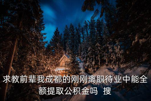 求教前輩我成都的剛剛離職待業中能全額提取公積金嗎  搜