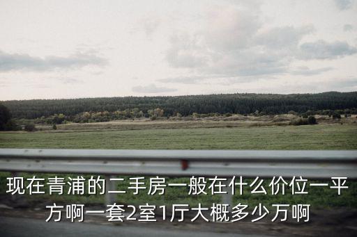 現(xiàn)在青浦的二手房一般在什么價(jià)位一平方啊一套2室1廳大概多少萬啊