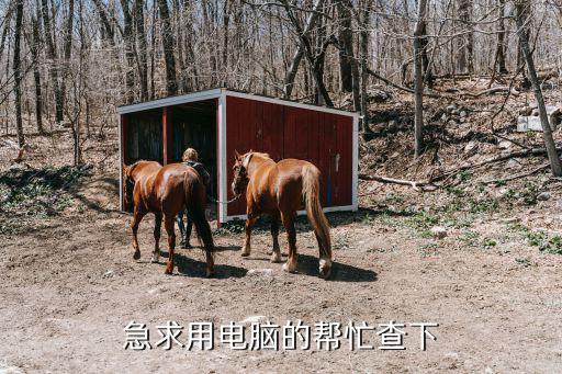 急求用電腦的幫忙查下