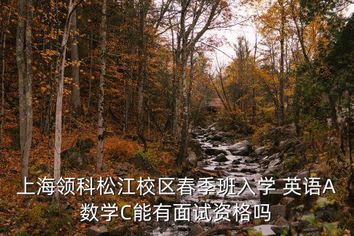 上海領科松江校區春季班入學 英語A數學C能有面試資格嗎