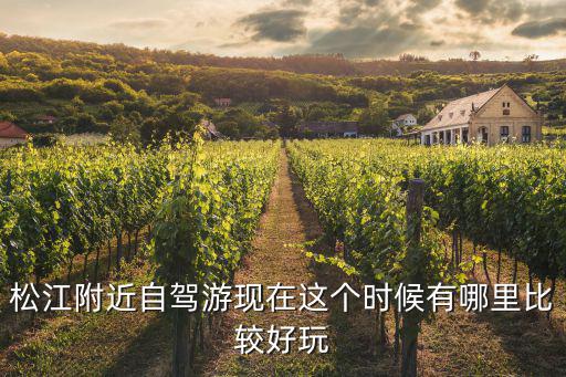 松江附近自駕游現在這個時候有哪里比較好玩