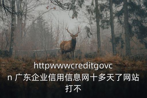 httpwwwcreditgovcn 廣東企業信用信息網十多天了網站打不