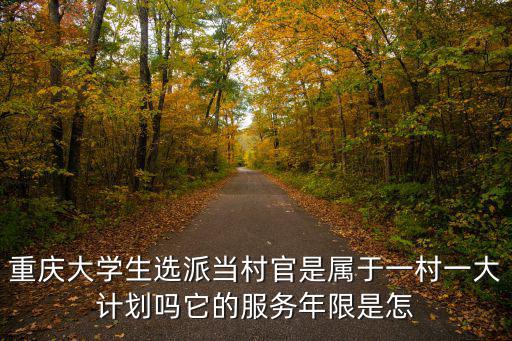 2017重慶市選聘大學(xué)生村官，重慶市大學(xué)生村官考試職位表