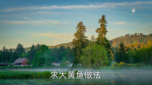 大黃花魚的做法,冰鮮黃花魚怎么吃?