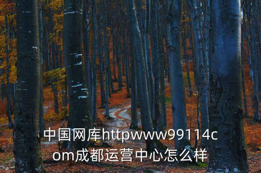 中國網庫httpwww99114com成都運營中心怎么樣