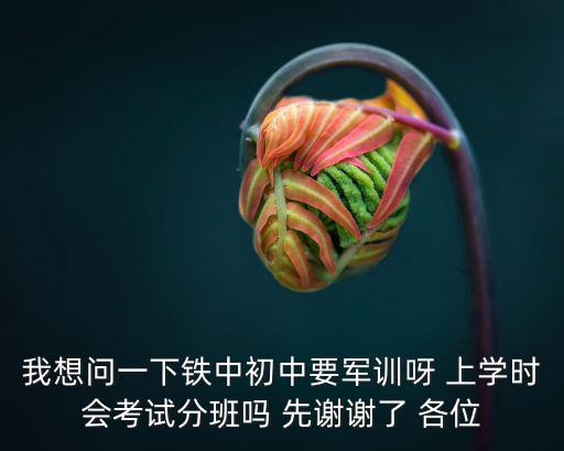 重慶市鐵路中學(xué)初一，誰(shuí)能介紹一下重慶鐵路中學(xué)