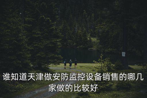 誰知道天津做安防監控設備銷售的哪幾家做的比較好