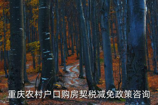 重慶農村戶口購房契稅減免政策咨詢