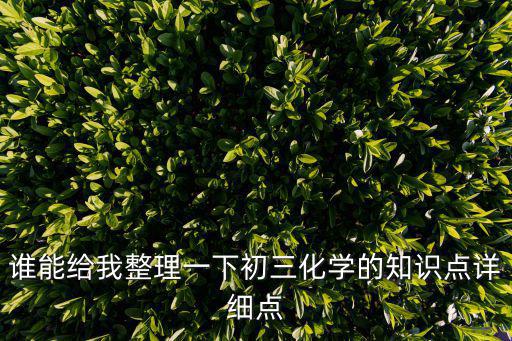 誰能給我整理一下初三化學的知識點詳細點