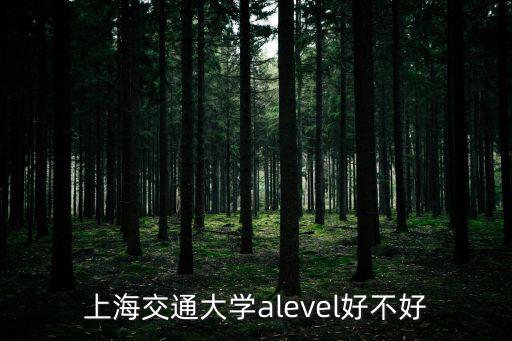 上海交通大學(xué)alevel好不好