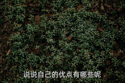 說說自己的優點有哪些呢