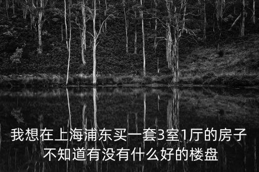 浦東2022年新樓盤，上海浦東新區(qū)房價(jià)