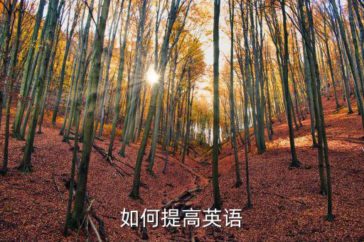 如何提高英語