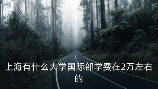 上海有什么大學國際部學費在2萬左右的