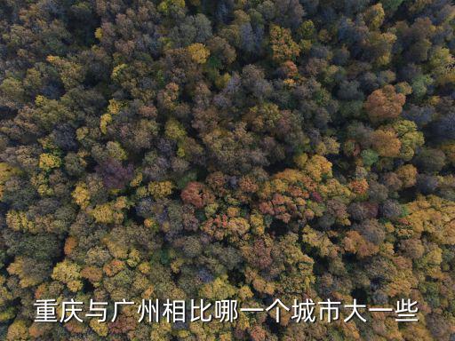 重慶與廣州相比哪一個城市大一些