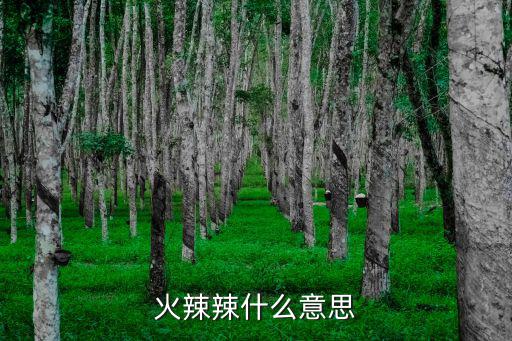 火辣辣的意思，火辣辣是什么意思
