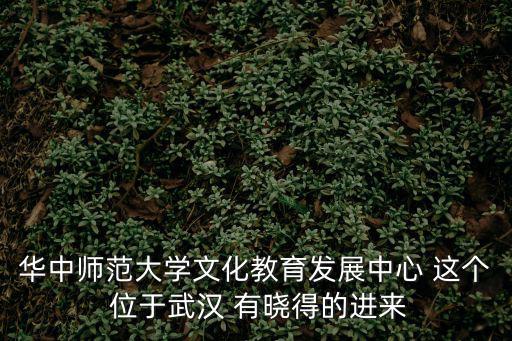 湖畔國際藝術與設計教研基地，成都菊樂路9號那里有個什么成都教研職培中心嗎菊樂路9號好像范