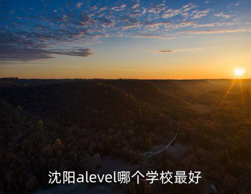 沈陽alevel哪個學(xué)校最好