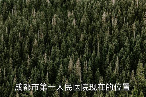 成都市第一人民醫院現在的位置