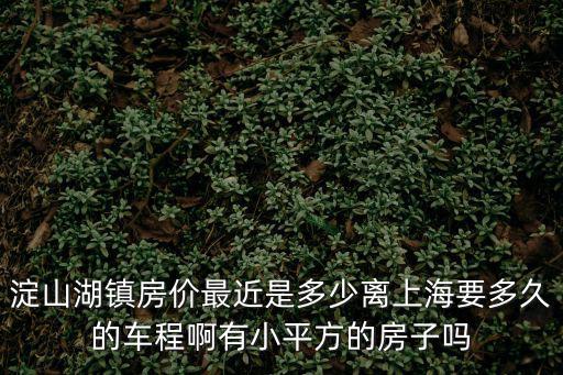 淀山湖鎮房價最近是多少離上海要多久的車程啊有小平方的房子嗎