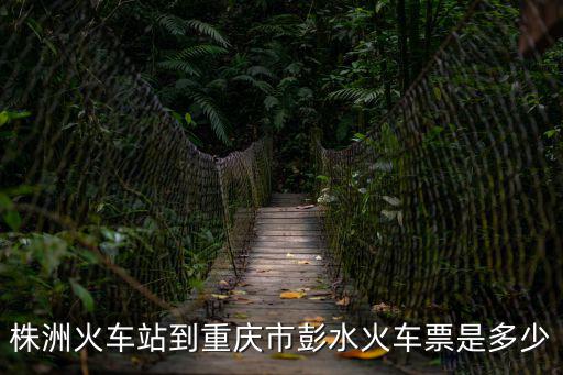 株洲火車站到重慶市彭水火車票是多少