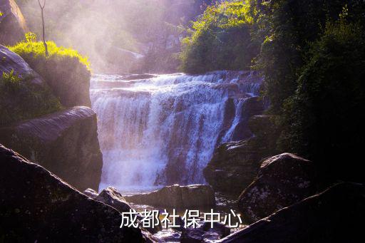 成都社保中心
