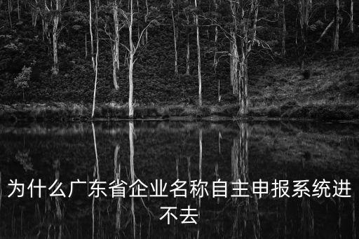 為什么廣東省企業名稱自主申報系統進不去