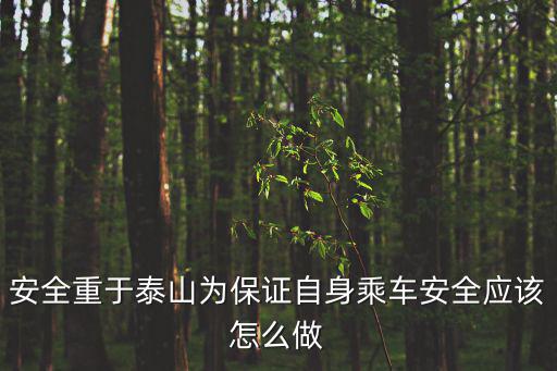安全重于泰山為保證自身乘車安全應該怎么做