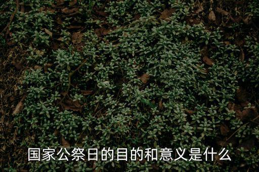 國家公祭儀式，今天什么日子