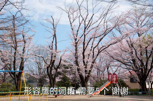 形容老鷹的詞語，形容鷹的詞語 需要5個 謝謝