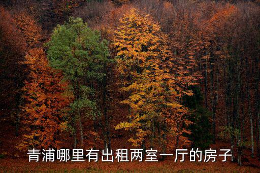 青浦哪里有出租兩室一廳的房子