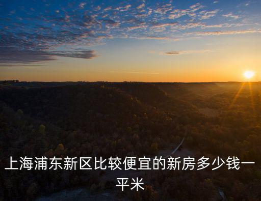 上海浦東新區比較便宜的新房多少錢一平米