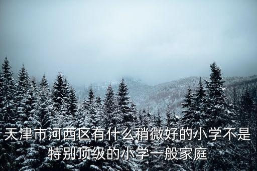 天津市河西區(qū)有什么稍微好的小學(xué)不是特別頂級的小學(xué)一般家庭