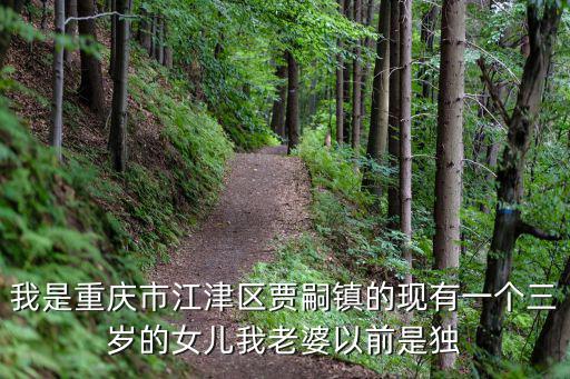 我是重慶市江津區賈嗣鎮的現有一個三歲的女兒我老婆以前是獨